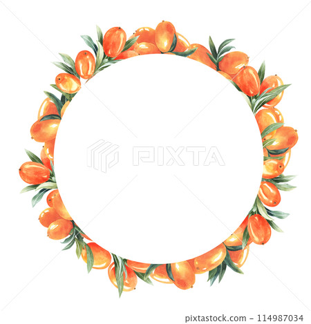Circular sea buckthorn frame autumn wreath of berries frame decoration. Hand drawn round wreath. Decorative element for greeting card. Isolated on white background 114987034