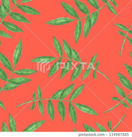 Marigold Flower Leaves Seamless Pattern. Floral Leaf Digital Paper. 114987885