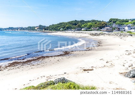 Hitachi City, Ibaraki Prefecture, Kawajiricho Riverbank 114988161