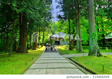 中尊寺金色堂（岩手縣平泉町） 114988499