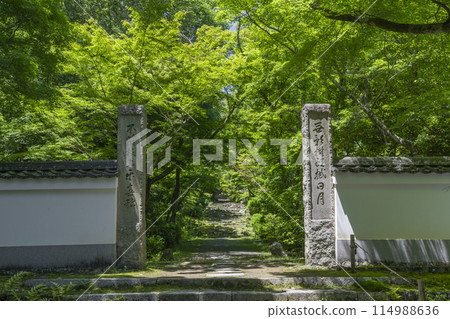 京都 羽室山成壽寺 通往本殿的石階 114988636