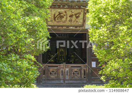 京都羽室山成壽寺正殿被綠意環繞 京都羽室山成壽寺正殿被綠意環繞 114988647
