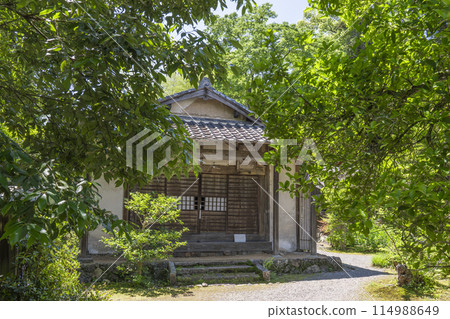 京都羽室山成壽寺觀音堂,綠意盎然 京都羽室山成壽寺觀音堂,綠意盎然 114988649