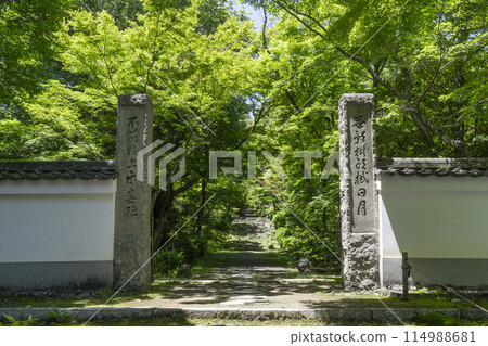 Kyoto, Hamuroyama Jojuji Temple, stone steps leading to the main hall Kyoto, Hamuroyama Jojuji Temple, stone steps leading to the main hall 114988681