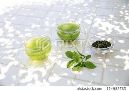 夏季綠茶、樹蔭下享用冷茶的形象 114988785