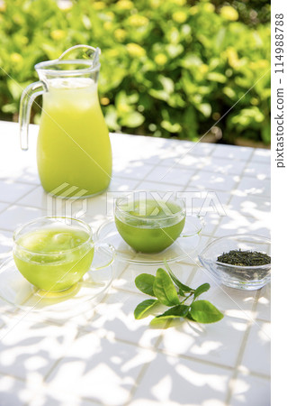 夏季綠茶、樹蔭下享用冷茶的形象 114988788