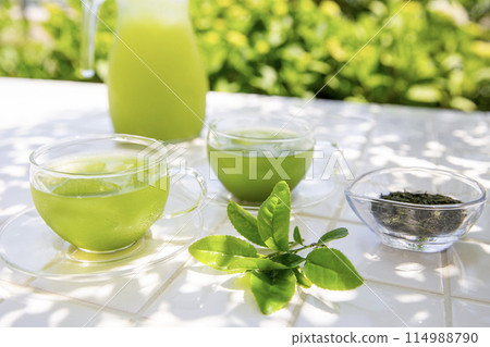 Image of summer green tea, cold tea enjoyed in the shade of a tree Image of summer green tea, cold tea enjoyed in the shade of a tree 114988790