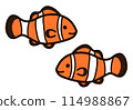 Cute clownfish character 114988867