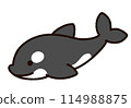 Cute killer whale character 114988875
