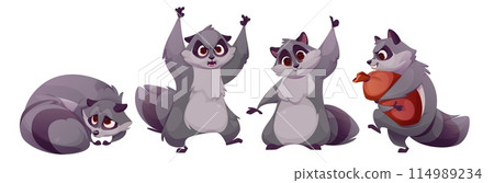Cute racoon characters set 114989234