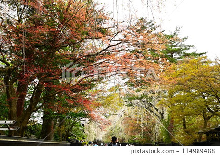 Spring Kakunoda samurai house Spring Kakunoda samurai house 114989488