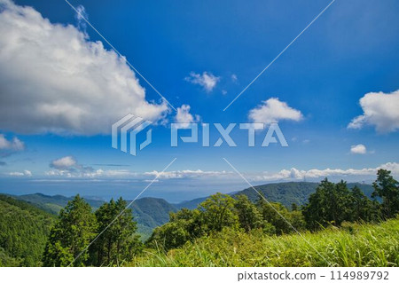 箱根風景夏天 114989792