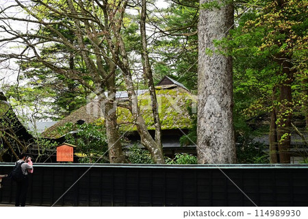 春天Kakunoda武士的房子 114989930