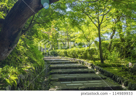 足野念佛寺 新鮮的綠色方法 114989933