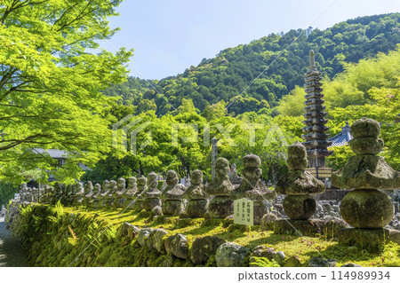 Fresh greenery in Kyoto - Adashino Nenbutsu Temple, Saiin Riverbank 114989934