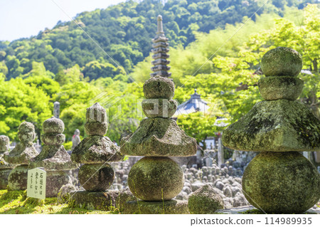 Fresh greenery in Kyoto - Adashino Nenbutsu Temple, Saiin Riverbank Fresh greenery in Kyoto - Adashino Nenbutsu Temple, Saiin Riverbank 114989935