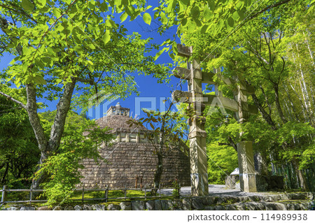 京都的新鮮綠樹、足野念佛寺、佛塔 114989938