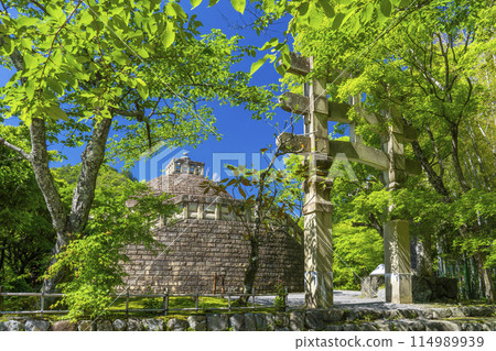京都的新鮮綠樹、足野念佛寺、佛塔 114989939