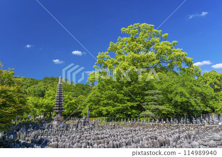 京都新綠、足野念佛寺、西院河 京都新綠、足野念佛寺、西院河 114989940