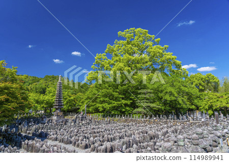 京都新綠、足野念佛寺、西院河 114989941