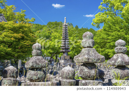 京都新綠、足野念佛寺、西院河 114989943