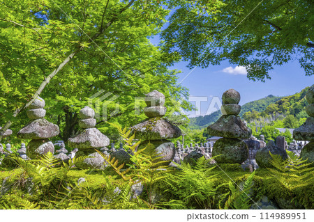 京都新綠、足野念佛寺、西院河 京都新綠、足野念佛寺、西院河 114989951