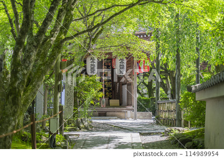 Fresh greenery in Kyoto - Adashino Nenbutsu Temple Enmei Jizo Hall 114989954