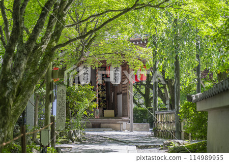 Fresh greenery in Kyoto - Adashino Nenbutsu Temple Enmei Jizo Hall Fresh greenery in Kyoto - Adashino Nenbutsu Temple Enmei Jizo Hall 114989955