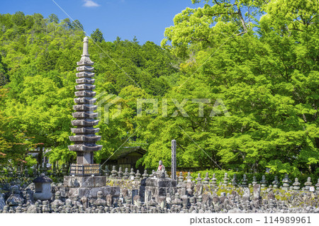京都新綠、足野念佛寺、西院河 114989961