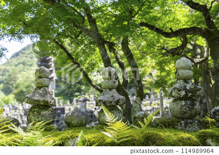 Fresh greenery in Kyoto - Adashino Nenbutsu Temple, Saiin Riverbank Fresh greenery in Kyoto - Adashino Nenbutsu Temple, Saiin Riverbank 114989964