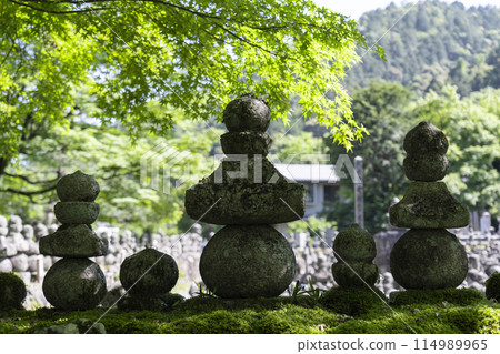 京都新綠、足野念佛寺、西院河 114989965