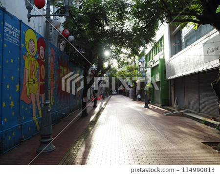 Palmyra Street (Okinawa City, Okinawa Prefecture) 114990013