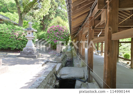 The shrine building and corridor of Kibitsu Shrine in Okayama City The shrine building and corridor of Kibitsu Shrine in Okayama City 114990144