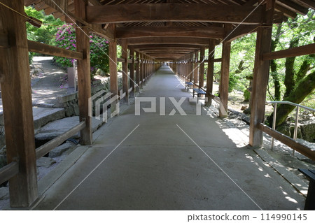 The shrine building and corridor of Kibitsu Shrine in Okayama City The shrine building and corridor of Kibitsu Shrine in Okayama City 114990145