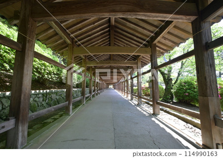 The shrine building and corridor of Kibitsu Shrine in Okayama City The shrine building and corridor of Kibitsu Shrine in Okayama City 114990163