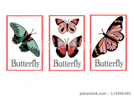 Butterfly posters set flat design retro text Butterfly posters set flat design retro text 114990385