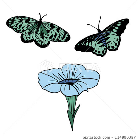 Green butterflies flat design set with flower Green butterflies flat design set with flower 114990387
