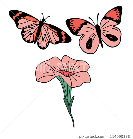 Petunia and butterflies flat design set Petunia and butterflies flat design set 114990388