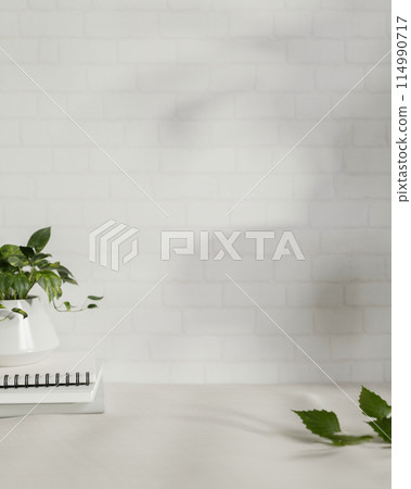 A space on a white table features books and a potted plant against the white brick wall. A space on a white table features books and a potted plant against the white brick wall. 114990717