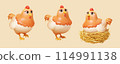 3D Cartoon chicken hen set 114991138