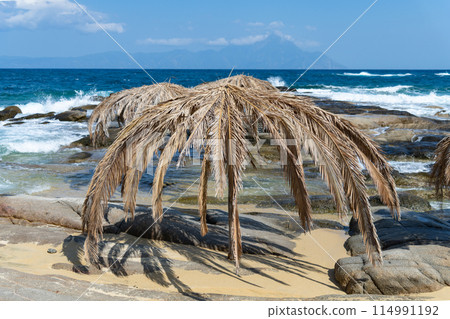 palm umbrellas against the blue sea and waves palm umbrellas against the blue sea and waves 114991192