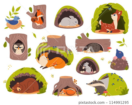 Animals in holes and burrows. Cartoon forest creatures inside hollows and nests, woodland fauna in their homes, sleeping bear in den, bird, funny squirrel and hare, vector isolated set Animals in holes and burrows. Cartoon forest creatures inside hollows and nests, woodland fauna in their homes, sleeping bear in den, bird, funny squirrel and hare, vector isolated set 114991295