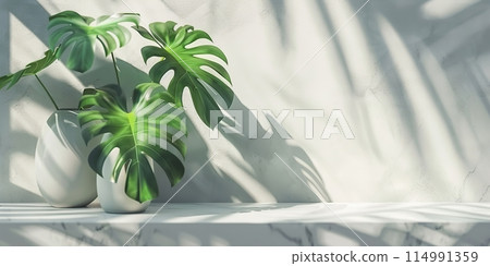 Minimal empty tabletop counter, green tropical palm leaves, blur shadow. Cosmetic product presentation. Premium podium. White desk table, gray wall. Showcase display case. Front view modern spa mockup 114991359