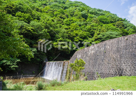 山谷中的薩博水壩[鈴鹿國定公園/宮昴峽谷] 114991966