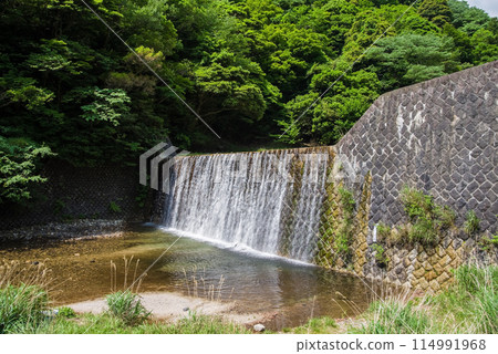 Erosion control dam in the valley [Suzuka Quasi-National Park, Miyazuma Gorge] 114991968