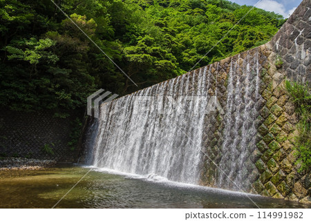 Erosion control dam in the valley [Suzuka Quasi-National Park, Miyazuma Gorge] 114991982