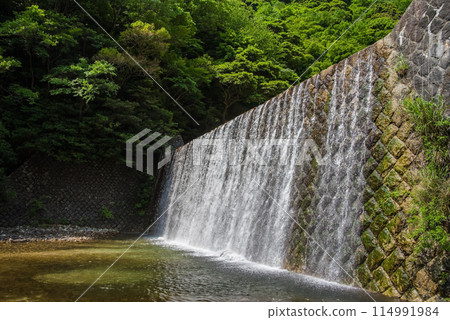 Erosion control dam in the valley [Suzuka Quasi-National Park, Miyazuma Gorge] 114991984
