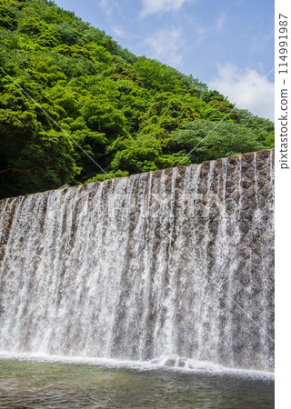 Erosion control dam in the valley [Suzuka Quasi-National Park, Miyazuma Gorge] 114991987