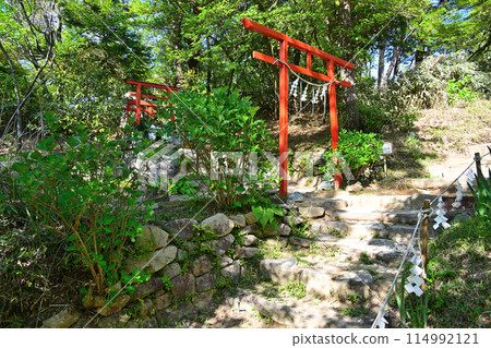 兵庫縣六甲山神社鳥居及境內 114992121