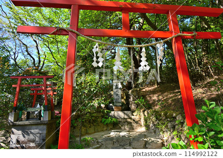 兵庫縣六甲山神社鳥居及境內 114992122